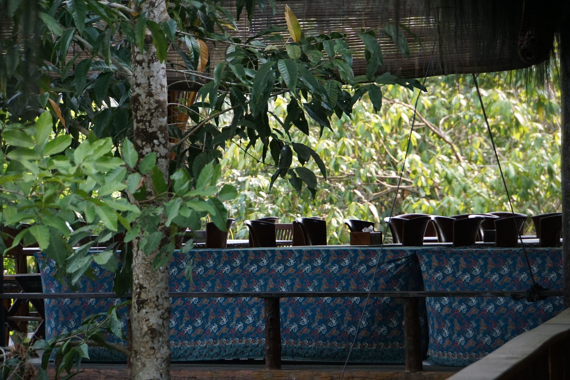 Samboja Lodge Balikpapan  Exterior photo