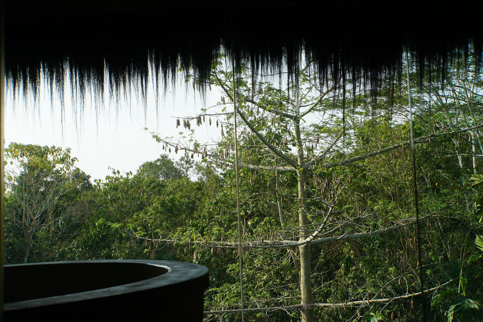 Samboja Lodge Balikpapan  Exterior photo
