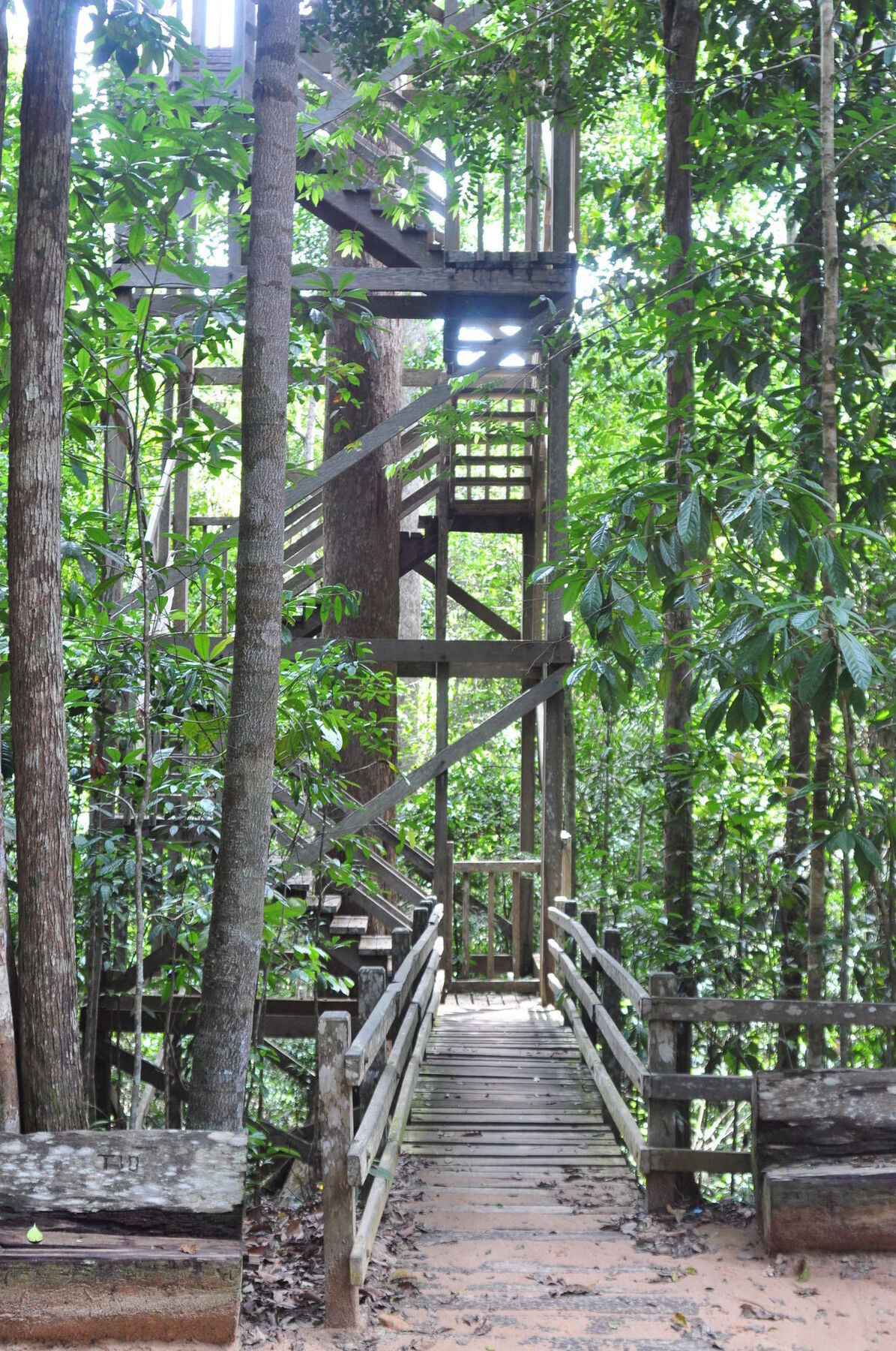 Samboja Lodge Balikpapan  Exterior photo